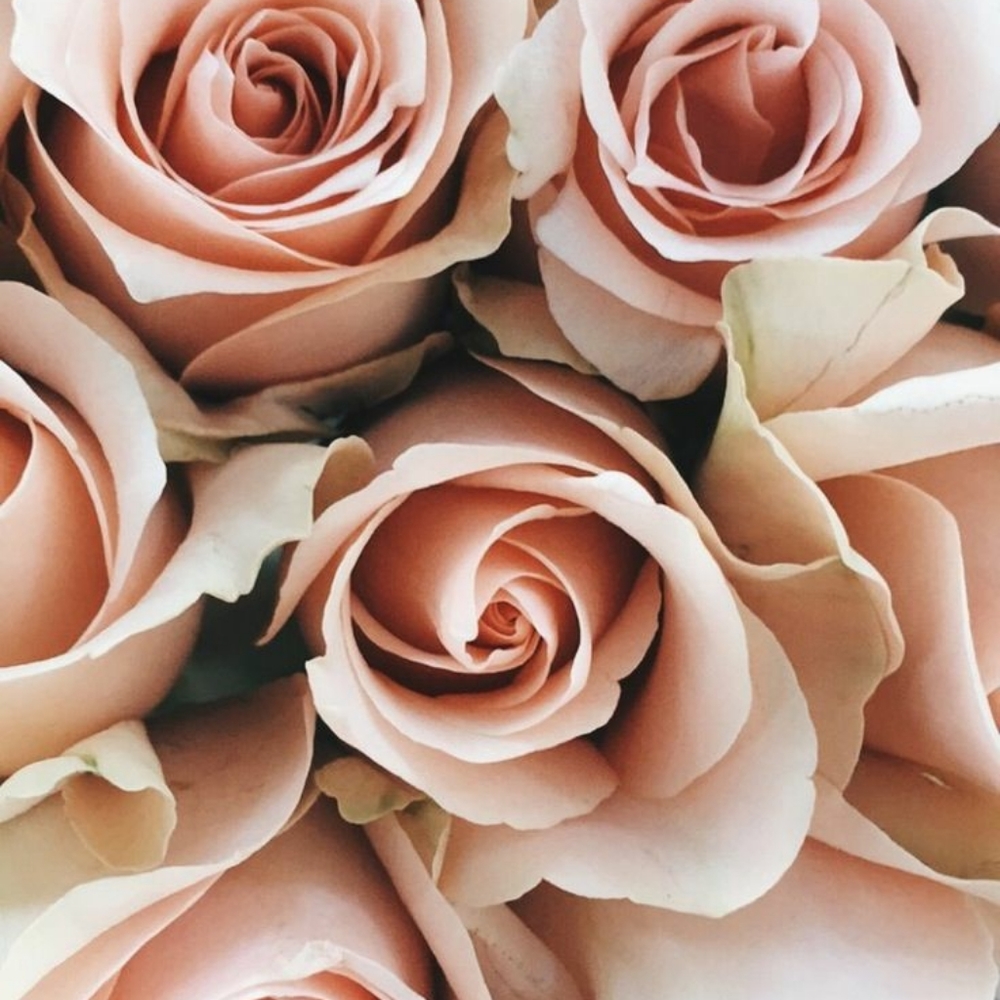 Meet your Posher, Valerie